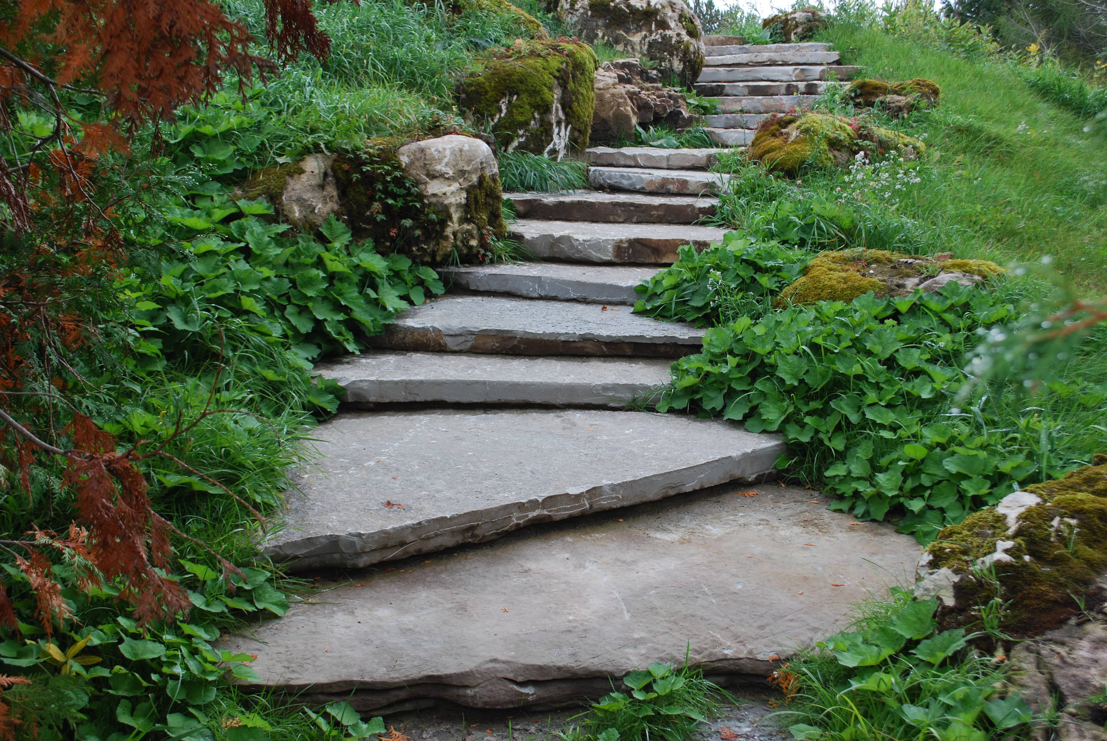 naturalized planting to pond