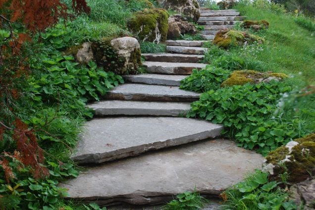 Hardscape Construction